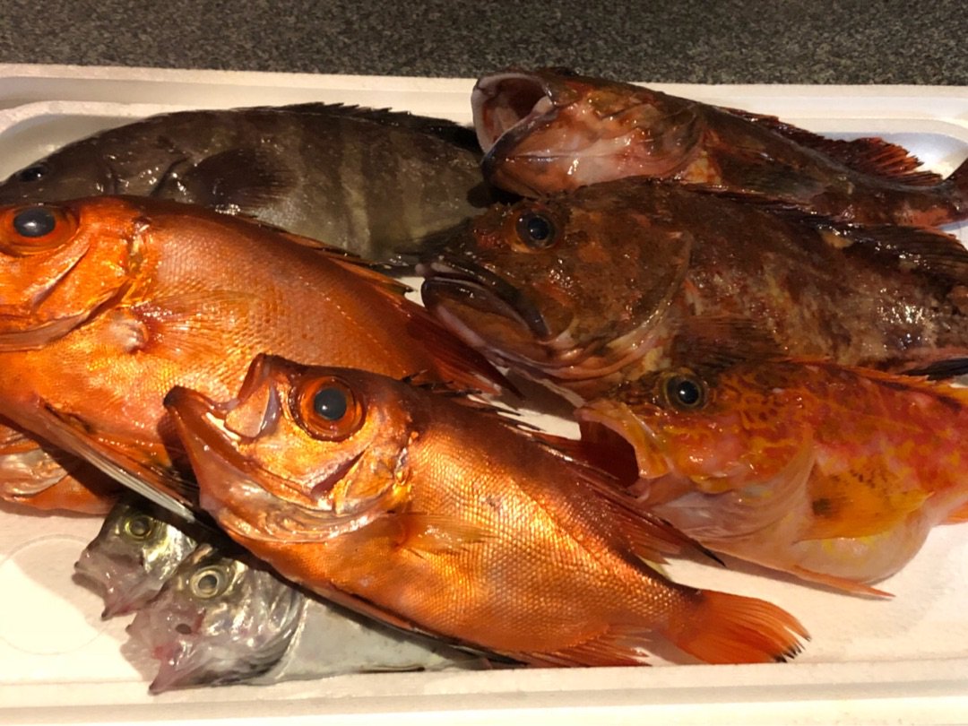 キントキダイ Twitter Search