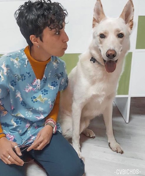 Bichos_CV's tweet photo. Ya es viernes y se nota!! Nuestro amigo ATHOS y la Clínica Veterinaria Bichos os deseamos un buen Finde! 

#Porfinesviernes #veterinario #barriodelpilar #herreraoria https://t.co/Z2vBH48SCB