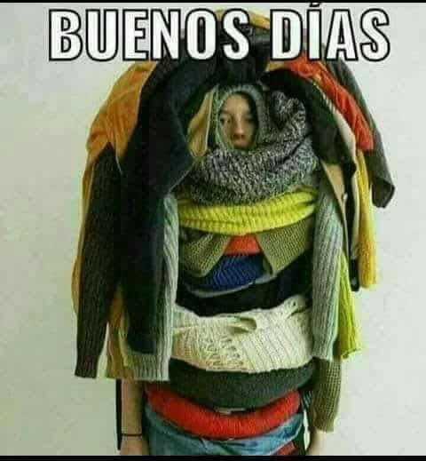 elis coloma tweet media