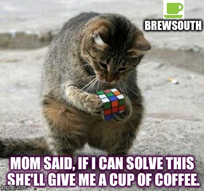 BrewSouthCoffee's tweet photo. DeLuna #Coffee has found a way to package the ''paradise'' of the  beautiful Gulf Coast. Paradise is a blend of Kona, Maui, Kenya, Colombian &amp; Brazilian beans  that are perfectly roasted to both Medium &amp; Very Dark roasts.

Order Now ➡️ https://t.co/91oiPz5p0Y
 #NationalDonutDay https://t.co/olAWApQ8do