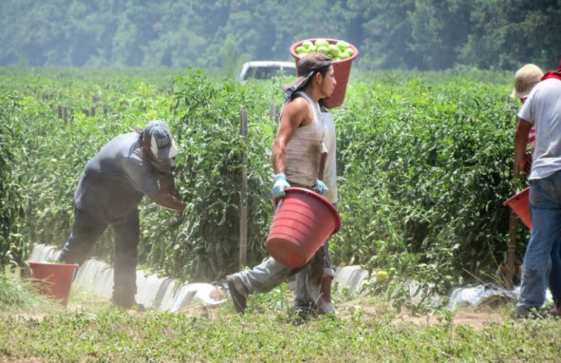 the_miscellany's tweet image. @SCFSC awards $197,500 through the Immigrant Families Initiative 
ow.ly/XMqa30kgO7u 
#sccatholics #readtcm