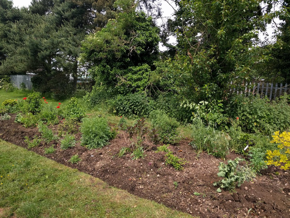 DamsonParks's tweet photo. 2 flower beds looking lovely, 1 still to do. Thanks to all who helped yesterday and to Beryl for providing us with an incentive!🍰 https://t.co/wxuLzD9Hug