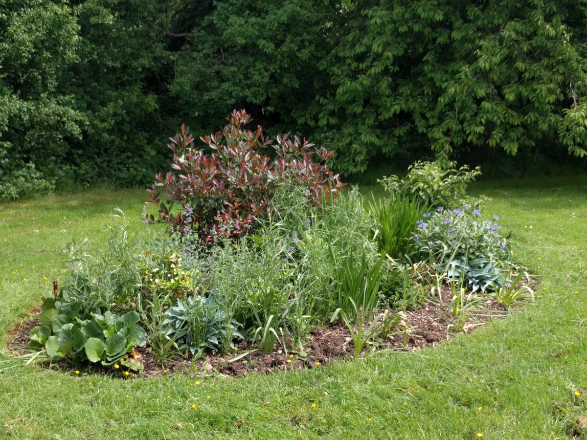 DamsonParks's tweet photo. 2 flower beds looking lovely, 1 still to do. Thanks to all who helped yesterday and to Beryl for providing us with an incentive!🍰 https://t.co/wxuLzD9Hug