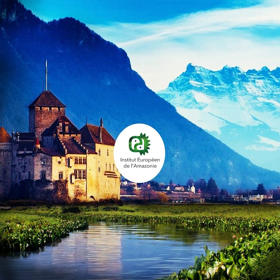 ieamazonie's tweet photo. Sentez et vivez la nature à chaque respiration!
.
Nous sommes @ieamazonie 
#Amazonie #faunaeuropaea #europèen #nature #respiration #reserva #faune #flore #forêt #biodiversitè #likeforfollow #likeforlike #photo https://t.co/zvNltUtvUY