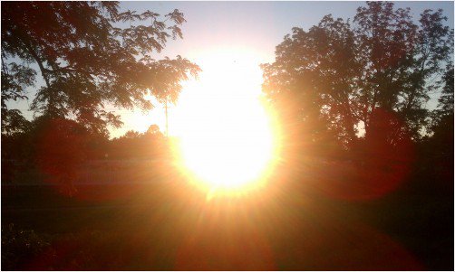 MyAnimalPhotos's tweet photo. Setting Sun through the trees on a 100-degree summer evening. https://t.co/n1qv0StCRH