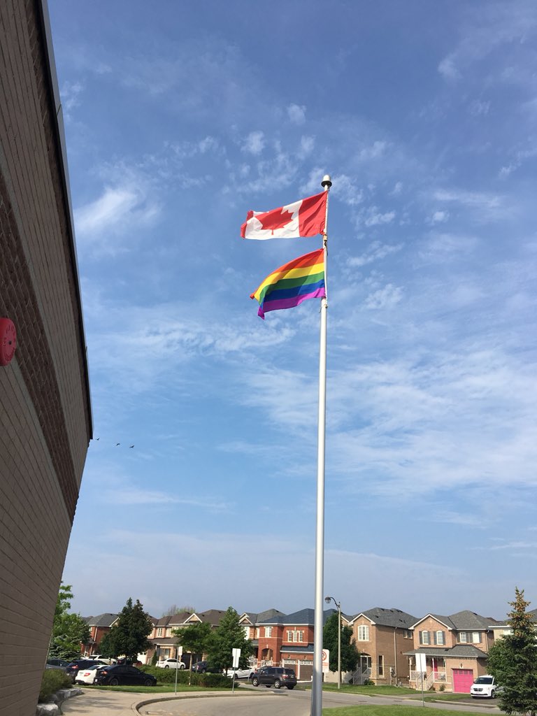 MissLFreedman's tweet photo. Proud to see this flag flying outside of @McCr_MS this morning! #flytheflag #inclusion #peelproud @ETFOPeel @PeelSchools https://t.co/T8rTv8ZSXX