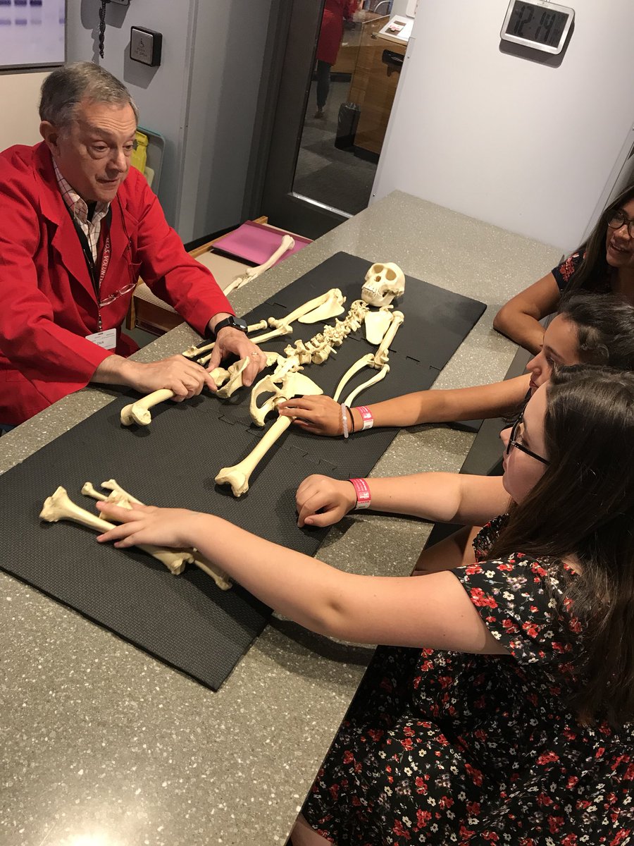 TheHealthyTiger's tweet photo. Last day at the Museum of Science with the 7th grade! Students got to interactively rediscover the different body systems we learned about through the year. https://t.co/qTT8zIJaUn