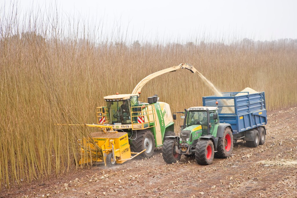 EnergyinAgri's tweet photo. The annual willow harvest at #GurteenCollege provides most of their heat requirements. Find out what opportunities lie in #woodmobilisation and #biomass with a series of talks, demos and clinics. All at #EnergyAg2018 Full agenda on: https://t.co/pRWCOgjDzT https://t.co/qfcHSX54ml