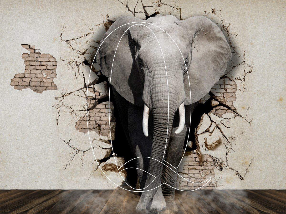 3D duvar kağıtları; uygulandıkları evlere derinlik, genişlik ve şıklık katar. Seçeceğiniz 3 boyutlu duvar kağıtlarıyla, oturma odanızı, yatak odanızı ya da mutfak ve banyonuzu istediğiniz gibi değiştirebilirsiniz.