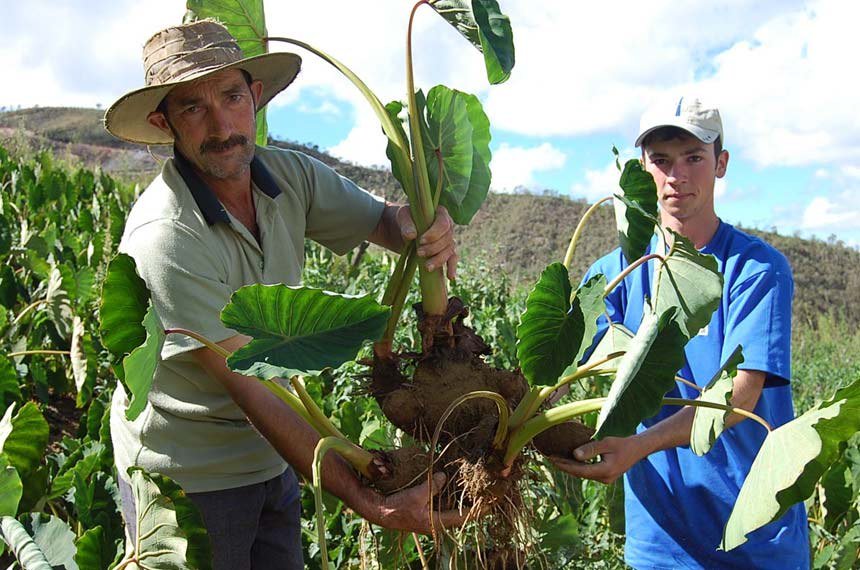 NorteAgroTO's tweet photo. Governo prorroga para 30 de outubro prazo de adesão ao Refis Rural com desconto de 100% em multas e juros para produtores. Saiba mais:
https://t.co/vossxGnipf #NorteAgroTO #agropecuária #agronegócio #agricultura #Refis #dívidasrurais #RefisRural https://t.co/3YOV7ERMlu