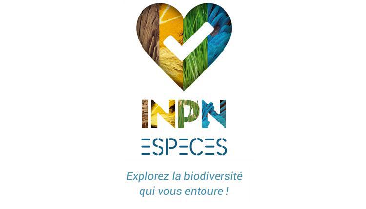 OFBiodiversite's tweet photo. #ForumTIC Présentation de la nouvelle version d'#INPNEspèces disponible mi-juin par  l'UMS #PatriNat : participative, fiable, instructive, ludique ! @INPN_MNHN @Nat_Solutions https://t.co/AvijMZa1FP