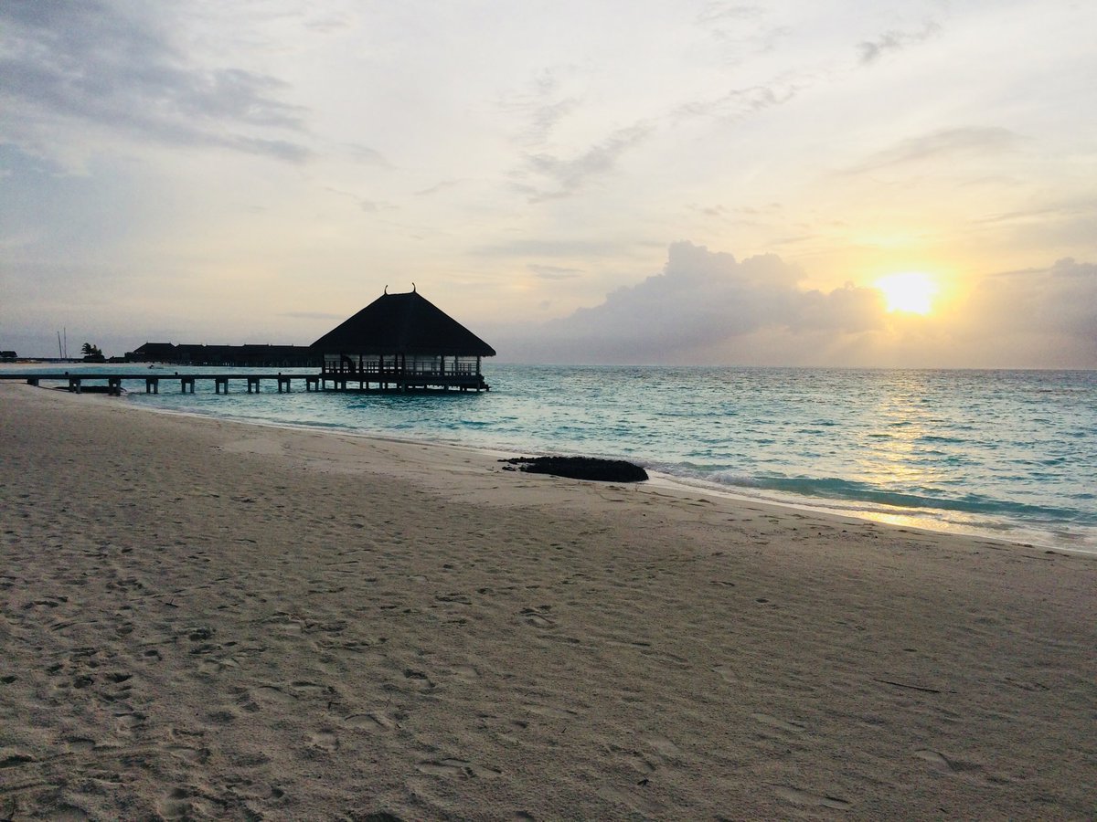 Matthew Roberts tweet media