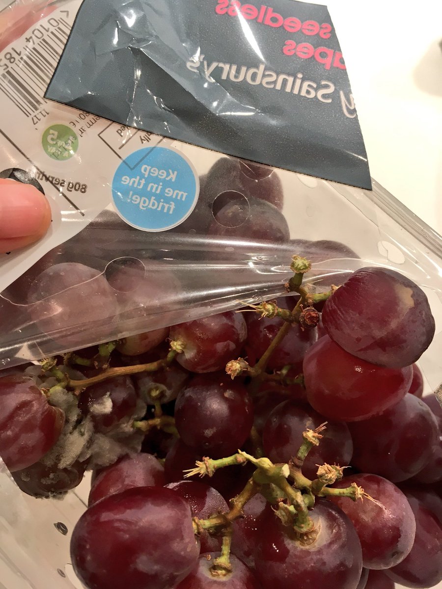 worldbysky's tweet photo. @sainsburys bought your grapes last night, opened it to a huge ball of mould 🤢 how old are they?! https://t.co/1wy3a7Hrja