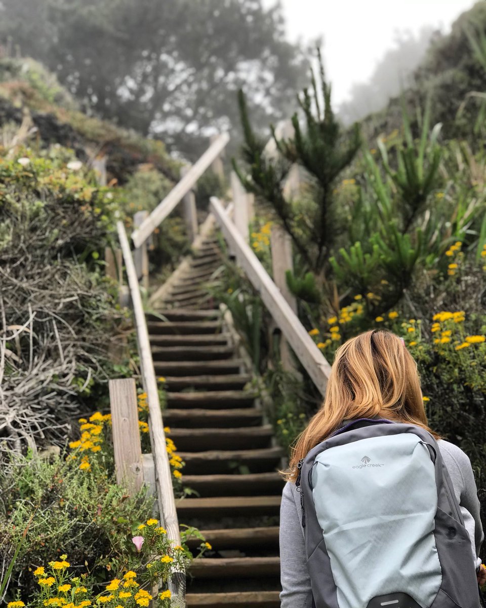 TentipiTents's tweet photo. RT @GumptionGear: “Discovery is seeing what everybody else has seen, and thinking what nobody else thought.” - Albert Szent-Gyorgyi #LiveWithGumption https://t.co/Nu1571JiGJ