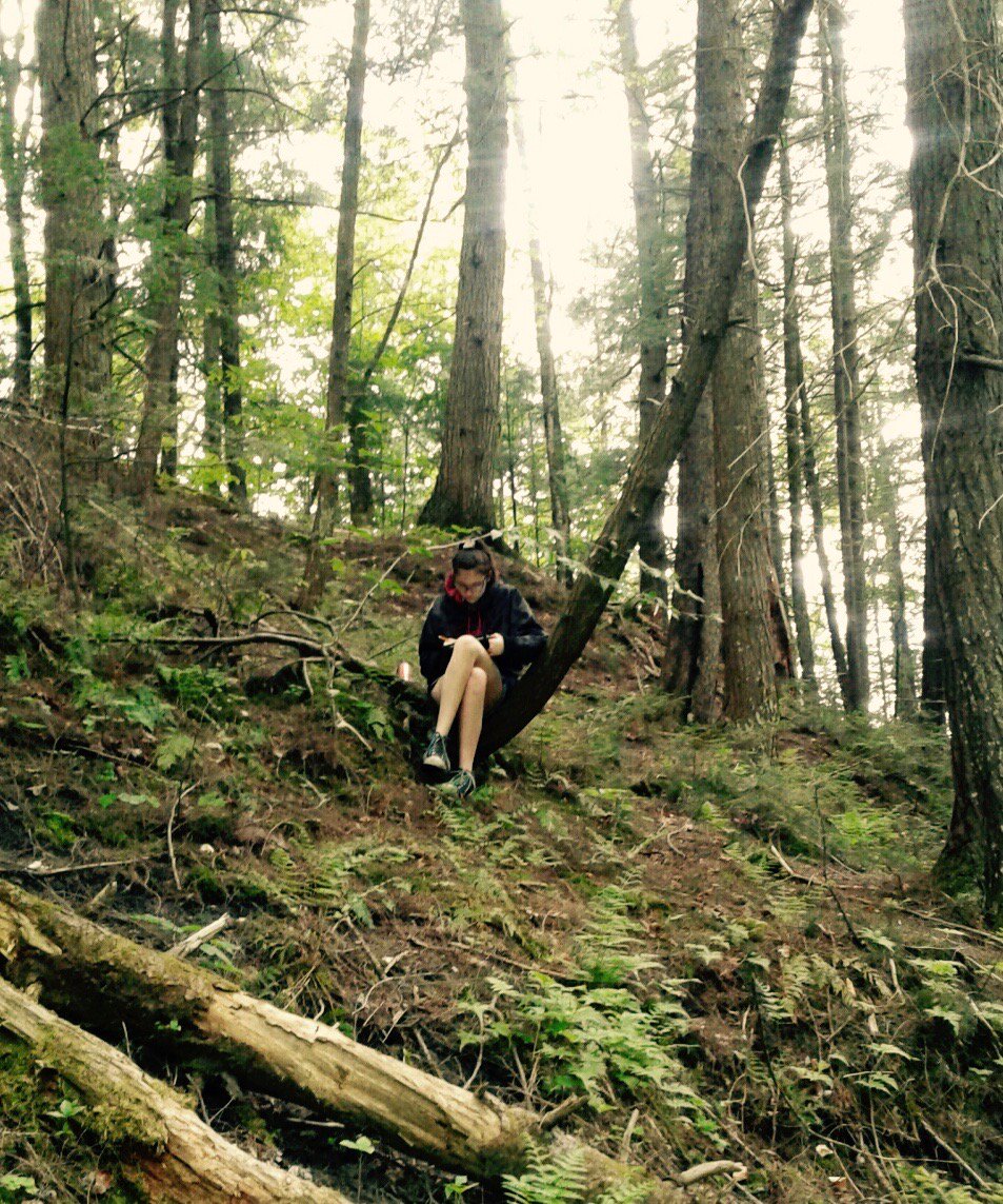 LadyHarple's tweet photo. Students in "For The Love of Writing" take some time to connect with nature as a means of inspiration this morning. #hazenjterm https://t.co/jvR97ogYle