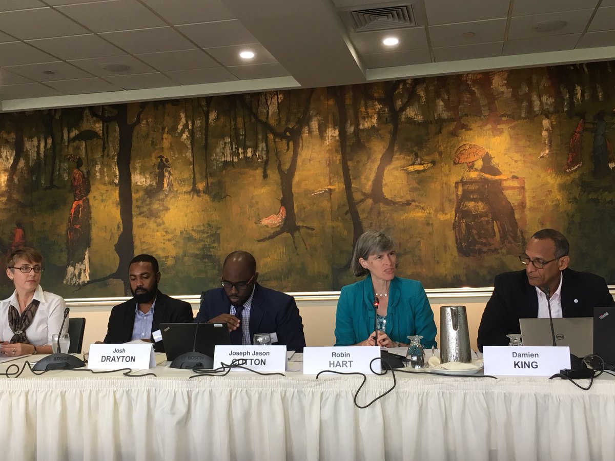 Caribbean 2030 Leaders Network tweet media