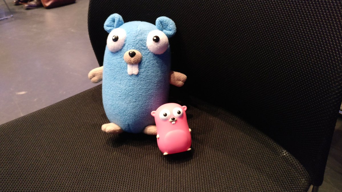 New friend! #GopherConIS  #gopher #golang