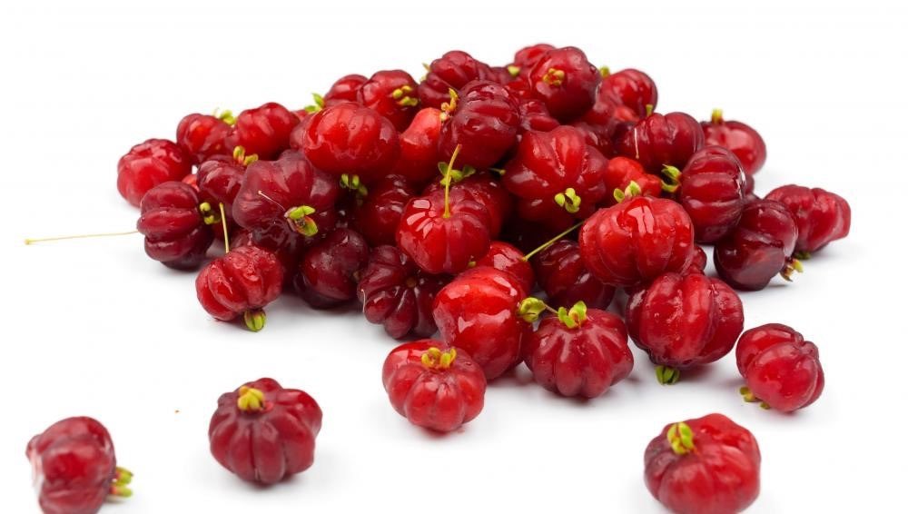 Pitanga_London tweet media