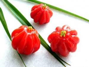 Pitanga_London tweet media