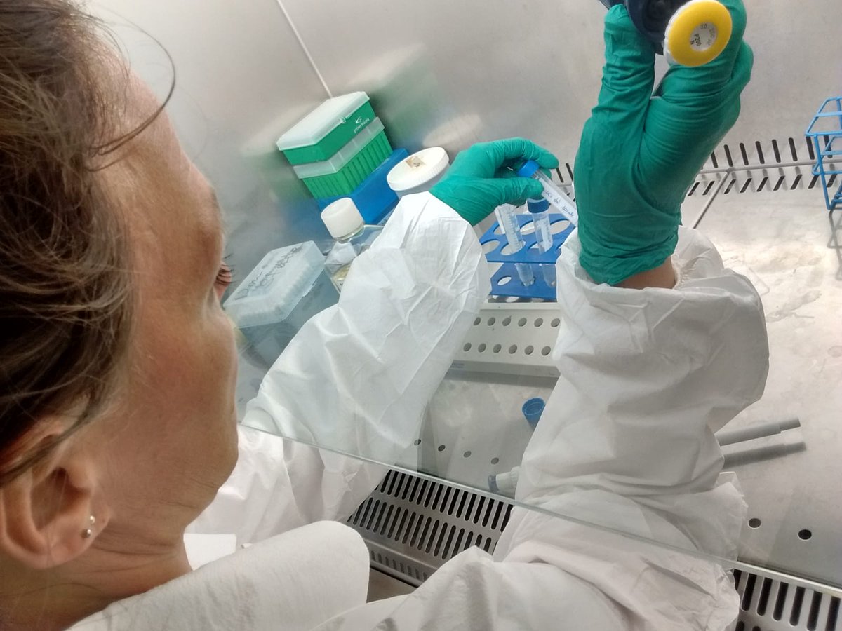 AltertoxAcademy's tweet photo. The second day of hands-on work at the #AltertoxAcademy training on #invitro #liver #models with experts from @AgilentLife, @PromegaAG, @GreinerBioOneFR and @iras_uu is on its way! @Biopredic_Intl #toxicology #HepaRG #experts #success #laboratory #alternatives #methods https://t.co/oZdSIdGbl1