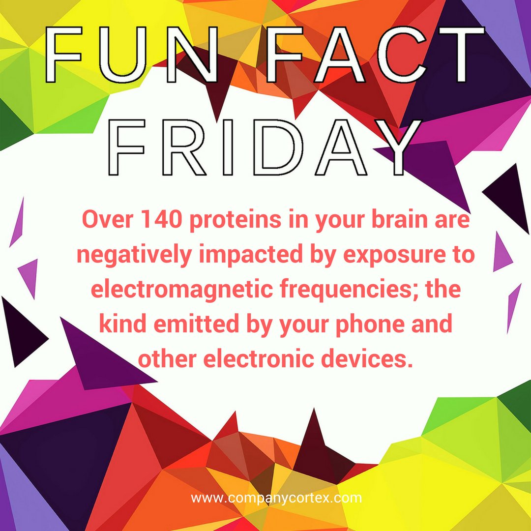 Company_Cortex's tweet photo. Fun Fact Friday! 

Yet another great reason to have a face-to-face conversation with someone instead of a phone call. 

#phones #facetoface #meetings #conversations #brain #neuroscience #protein #facts #funfactfriday #friday #weekend #information #science https://t.co/V6W0Lk7w2X