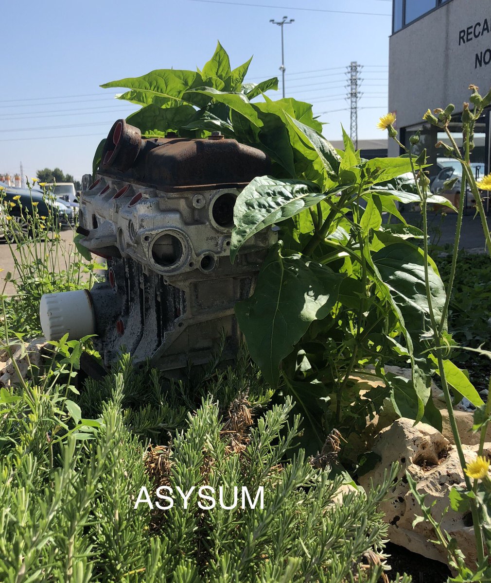 ASYSUM's tweet photo. ASYSUM #economiacircular de un viejo motor crearemos vida #motoresreconstruidos #rebuildengine #damosvida https://t.co/HpRlCnrXsO