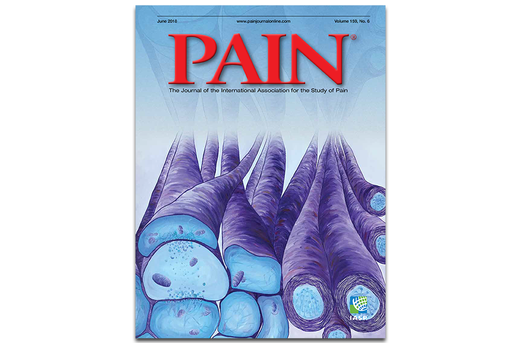 IASPpain's tweet photo. June issue of PAIN now online! https://t.co/oo68QvOH9W Read the June issue of #PainJournal featuring a new #PainPictured article on #pain after surgery and a #topicalreview on #hyperpathia. @painthejournal https://t.co/EG04L36Kqx
