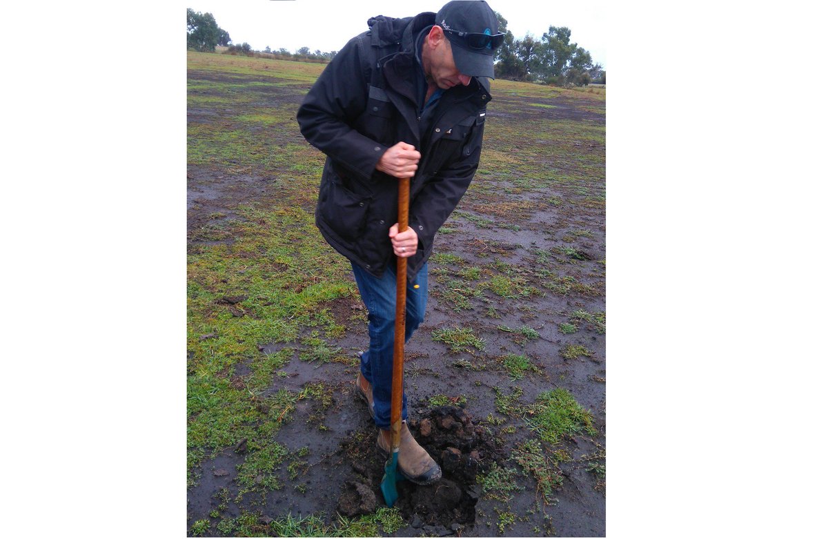NeilDDixon's tweet photo. In Days of Yore, many wetlands in the Peel-Harvey catchment were drained to grow spuds, but are now barren scalds. The #REIPeel project to divert nutrient-rich drain water into such areas might help to bring them and our #waestuaries back from the brink. Results out soon! https://t.co/y4SOzA5lnm