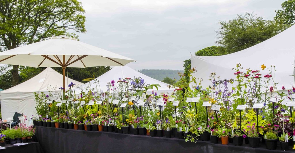 CoombeTrenchard's tweet photo. Final prep in full swing for our #EnglishCountryGardenFestival this weekend - Gates open TOMORROW &amp; Sunday at 10am https://t.co/Lfi0f2YFCD