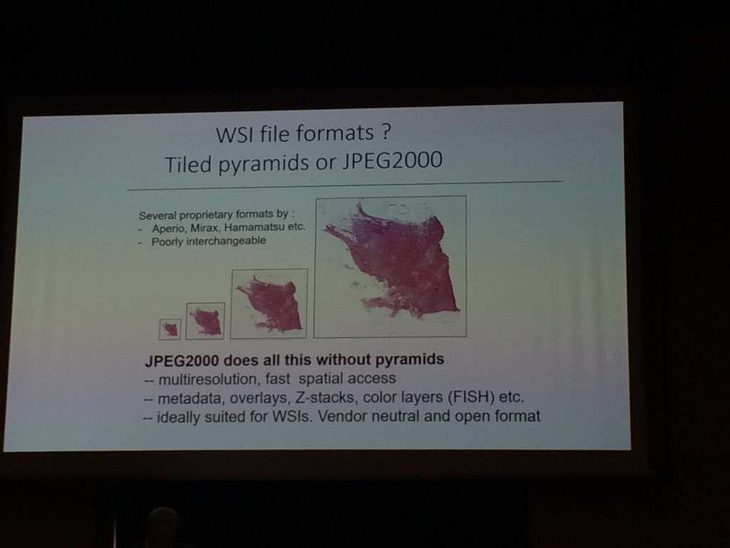 dameisen's tweet photo. #ECDP2018 PS13: Why not JPEG2000 for WSI storage?
Jorma Isola, Professor @ University of Tampere #standardization #digitalPathology https://t.co/AYav0zcmnP