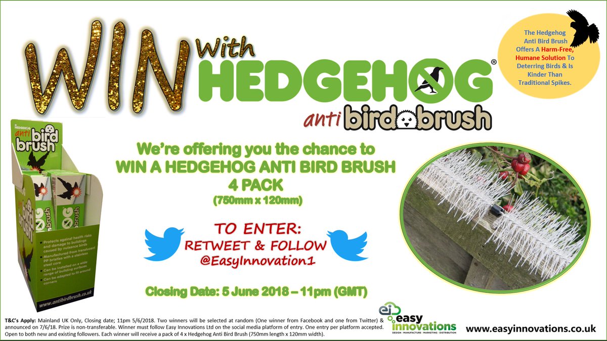 For your chance to #WIN a Hedgehog #AntiBirdBrush multipack, #RT &amp; Follow us by 11pm (GMT) on 5 June 2018. T&amp;C's Apply. Mainland UK Only. Find out about the #AntiBirdBrush here buff.ly/1Yrl2EY #Winning #giveaway #FreebieFriday #FridayFreebie #CompetitionTime #comp