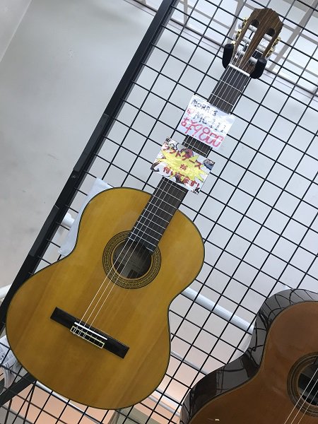 MORRIS MC-111 綺麗 - 通販 - olgapuri.org
