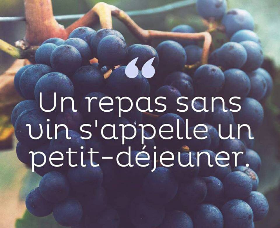 Embouteille_com's tweet photo. Qui est d'accord avec ça ? 🖑🙋
#vin #wine #FridayFeeling https://t.co/OU77cxpM7b