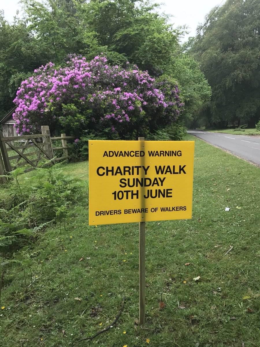 RachC_SG's tweet photo. So exciting! #WalkforHope2018 is only 10 days away. https://t.co/jy95WSSnBI