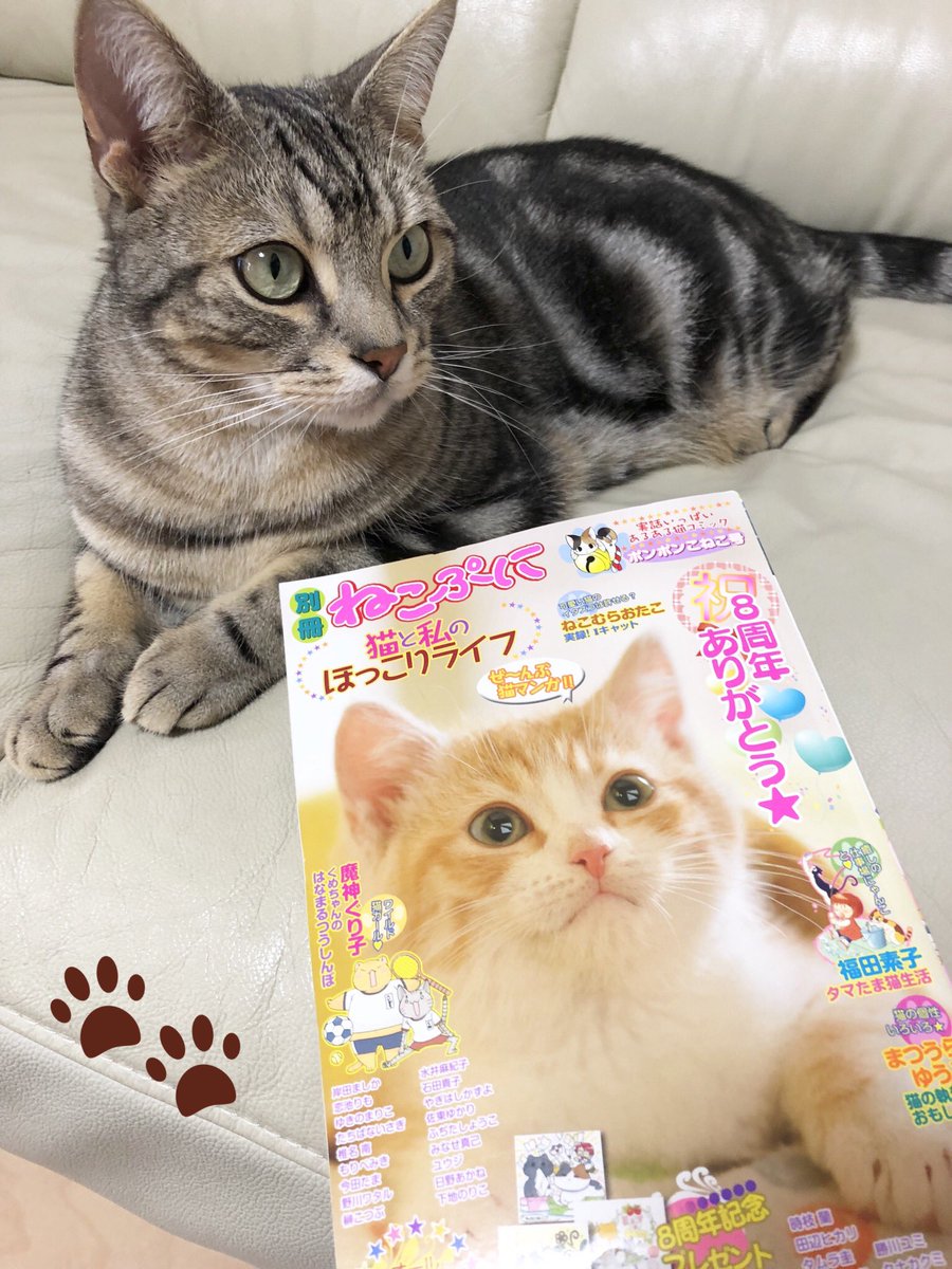 ?お知らせ?
ただいま発売中の別冊ねこぷに ポンポンこねこ号に「ぽかぽかアメショ生活」掲載させて頂いてます!甘え上手な猫モカと甘ちゃん飼い主の日常4コマです。よろしくお願いします✨ 