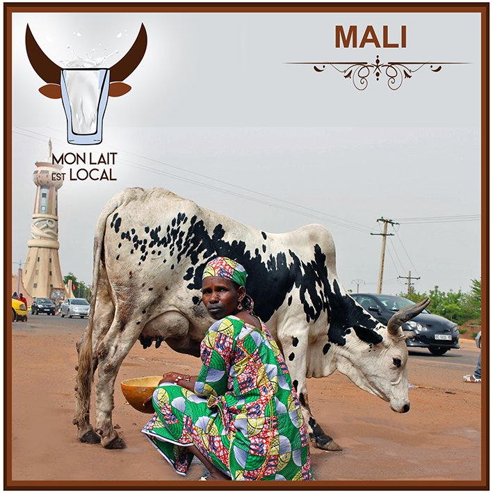 La campagne lait presentée aux autorités #laitlocal, #JourneeMondialeDuLait  <a href="/yabsi1er/">YABRE Idrissa</a> <a href="/taclonslafaim/">Letstacklehunger</a> @BenoitOxfam