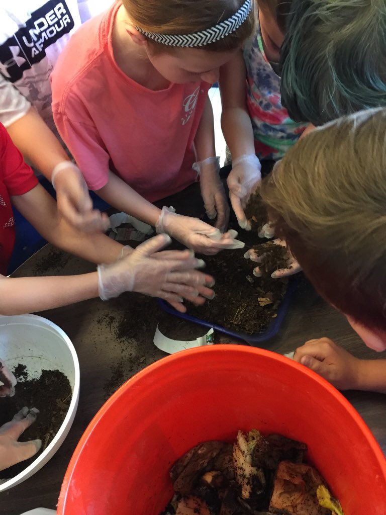 beckteach's tweet photo. Does dead stuff have energy? 5th Graders composting and digging for worms #pesSTEAMers #afraidNOT #inspiringsuccess https://t.co/TkwITp2GDA