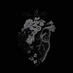 Völrey (@toxichxz) on Twitter photo 