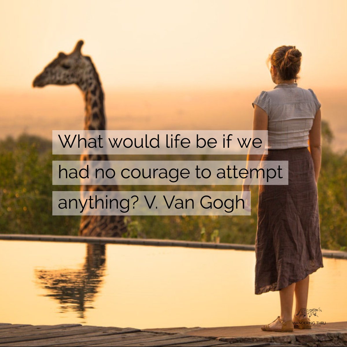 #WanderingThru 
#quoteoftheday #brave #courage #travel #inspiration #africanexperience #africansafaritravel #travelafricastory #travelafricastories #africansafaris #africansafariexperience #africansafariconnection #africansafaritours #safaritrip # #safarianimals #travel #luxury