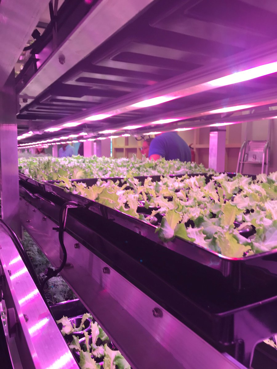 Alexanderson tweet media