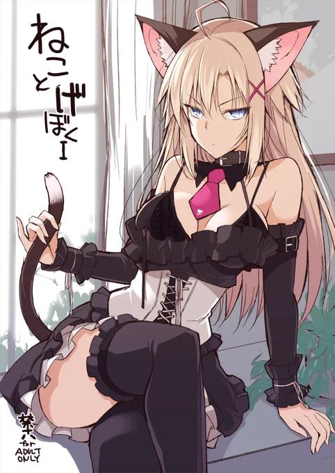 ここ数日は猫耳お嬢様本の表紙などを考えたりしてました どれがいいかなー 