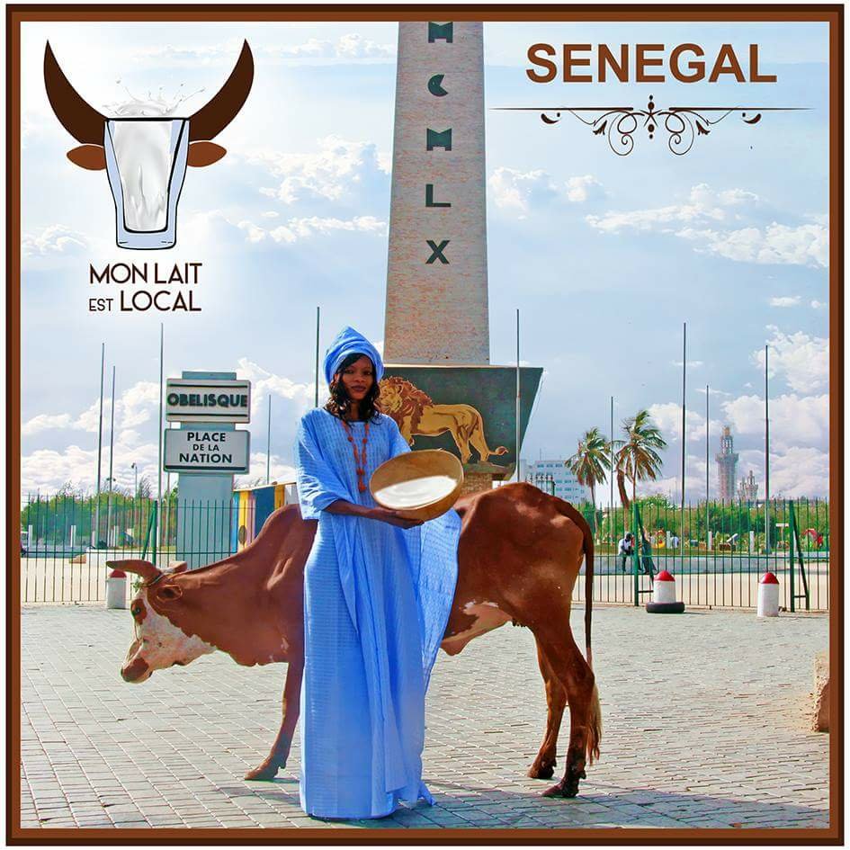 International Milk Day.
Women farmers across West Africa are calling for people to drink local milk for better health and more stable income for local farmers
#MonLaitEstLocal
#Senegal