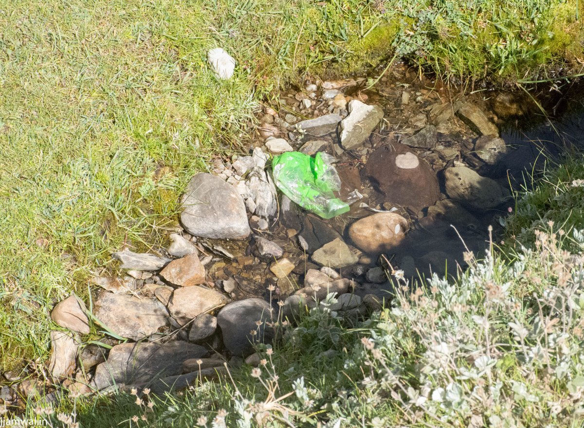 JaidevJamwal's tweet image. Yet another beautiful wilderness spot destroyed by stupid #tourists and greedy businesses. #Chandrataal #Himachal
jjamwal.in/yayavar/anothe…