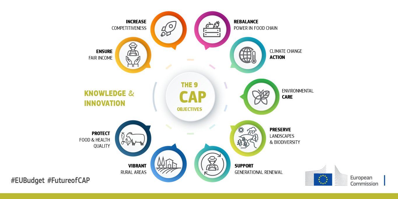 Cap policy sale