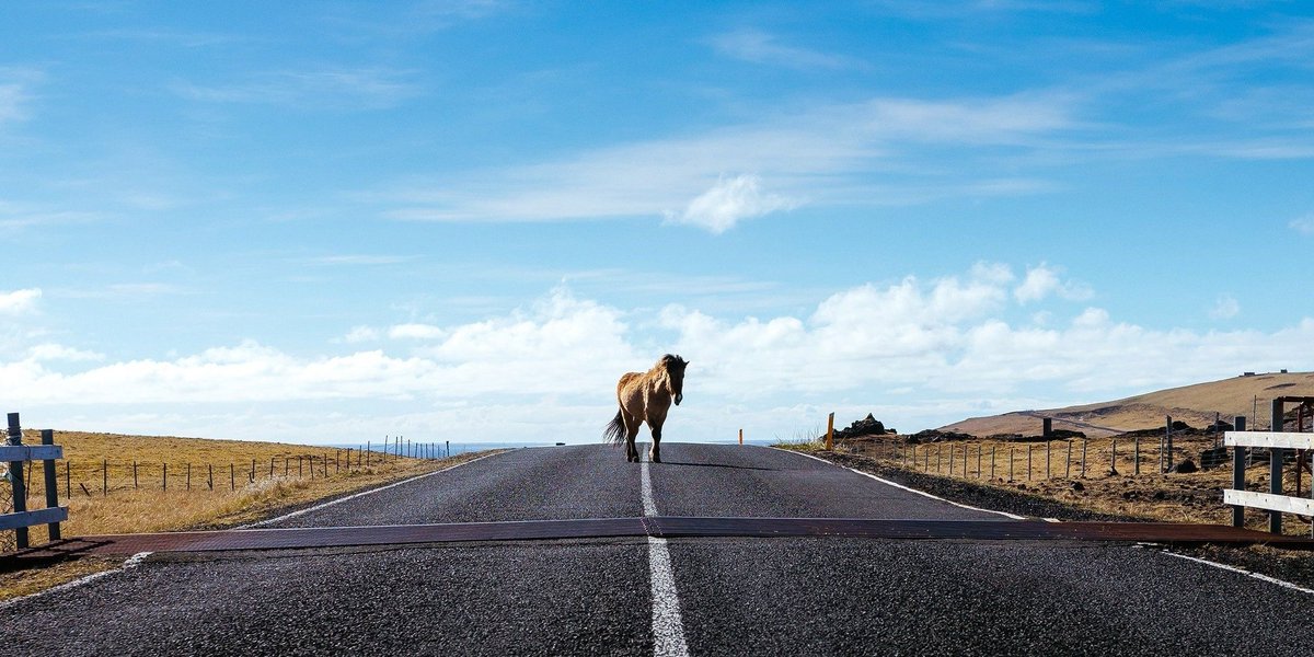 autocaresdavid's tweet photo. A veces la carretera te deja imágenes tan fantásticas como esta.
Feliz viernes!
#viernes #findesemana #viajandocondavid https://t.co/gHH5EUUTaj