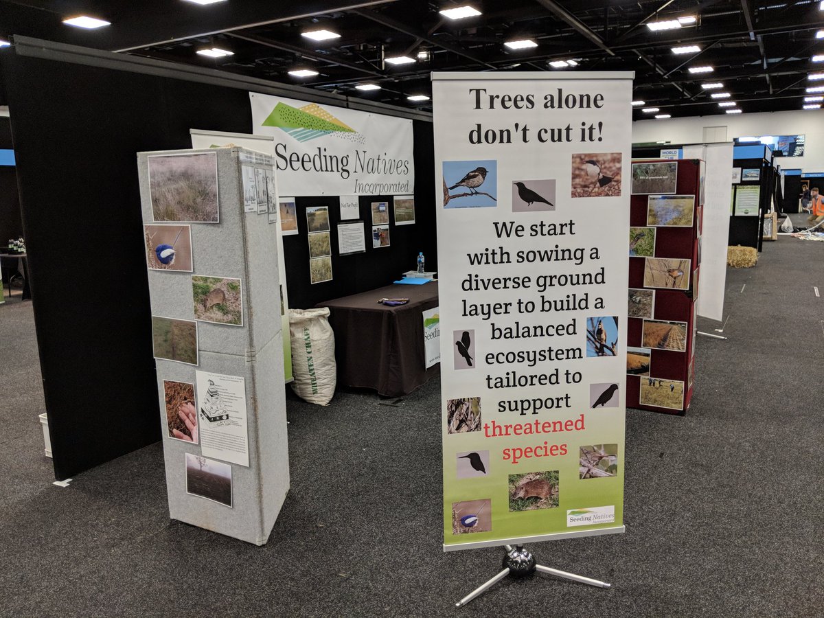 SeedingNatives's tweet photo. Our #worldenvironmentfair stall is all set up, promoting our fund dedicated to saving #threatenedspecies starting at the ground layer with native grassland restoration. 150000 hectares in the AMLR #environment  #conservation #seedingnatives https://t.co/9fBczfO2cF