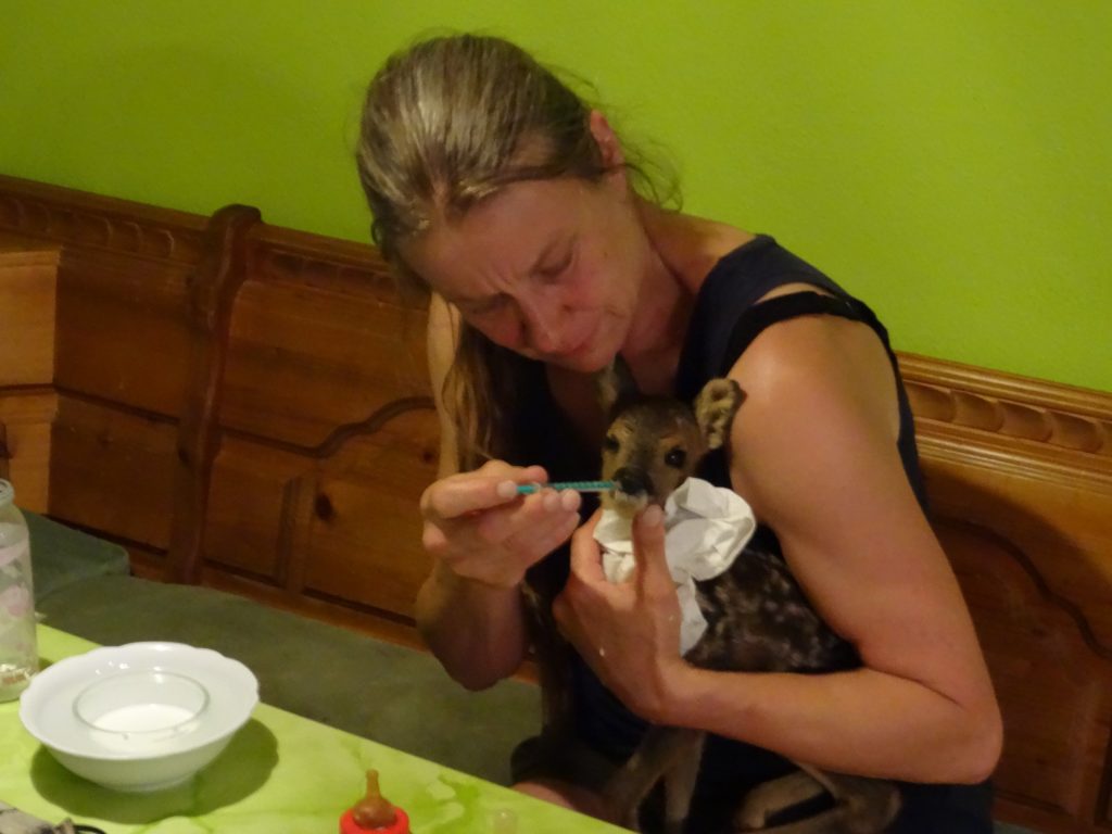 Jetzt lesen: Die Jägerin, die Tierschutz lebt! go.fuerjagd.de/7296