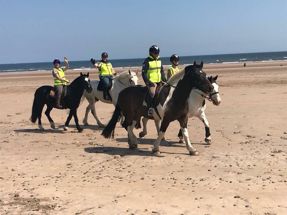 rebgascoigne's tweet photo. @BritishHorse today South East Northumberland Access & Bridleways Group post a cheque to your access department for Β£115 raised at our #rideoutuk beach ride π΄ https://t.co/l2xja7QSms