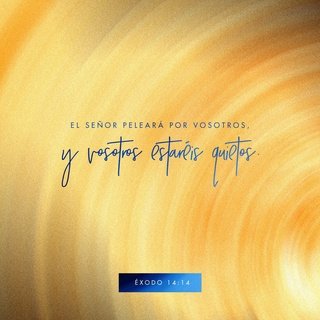 wilmarestefany's tweet photo. Jehová peleará por vosotros, y vosotros estaréis tranquilos.
Éxodo 14:14 RVR1960
https://t.co/A8sdXul9WZ https://t.co/jxpsUcbjvm