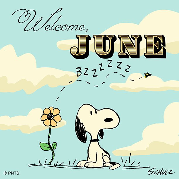 PEANUTS on Twitter: "Hello, June 😎 https://t.co/yjw7FsWYIz" / Twitter